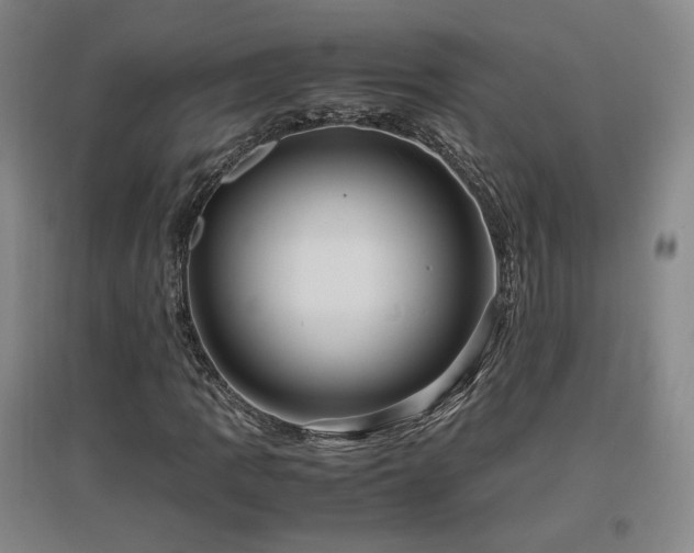X0000097461109200802221206