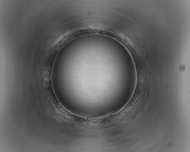 X0000097461110200802221206