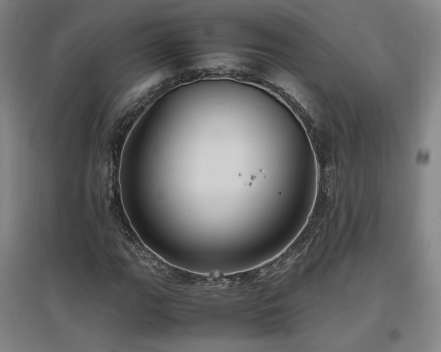 X0000097461111200802221206