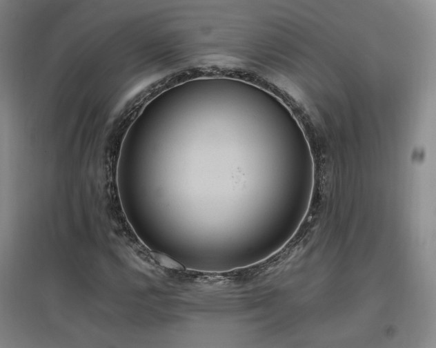X0000097461112200802221206