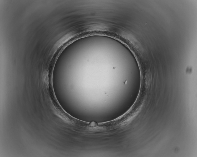 X0000097461113200802221206