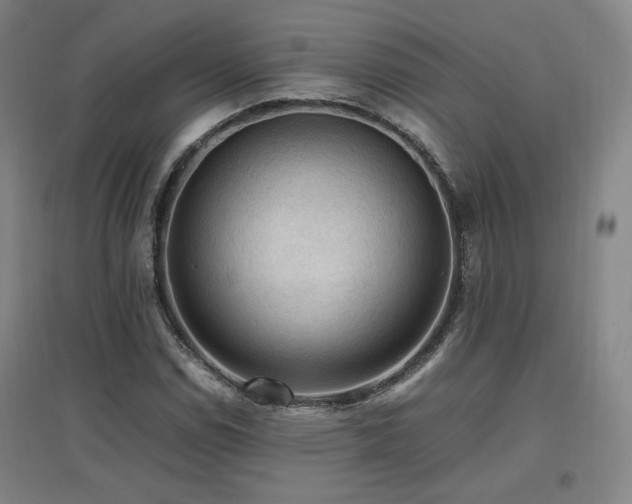 X0000097461114200802221206