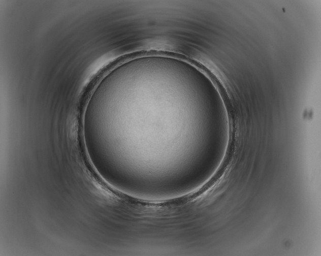 X0000097461115200802221206