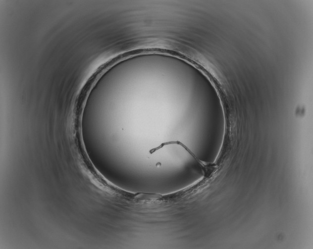 X0000097461116200802221206