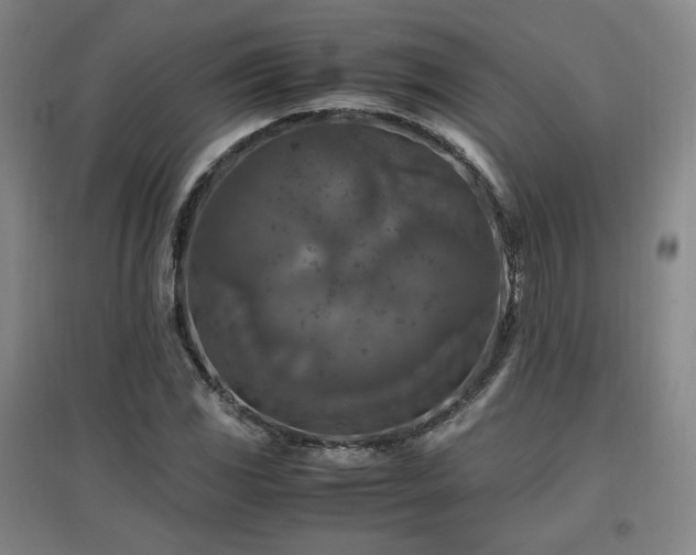 X0000097461117200802221206