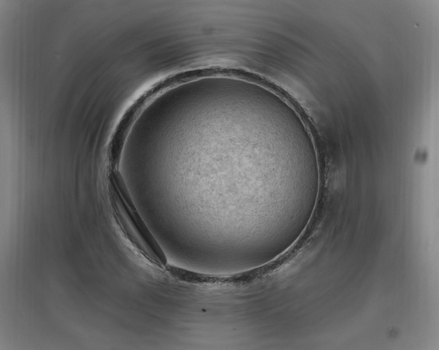 X0000097461118200802221206