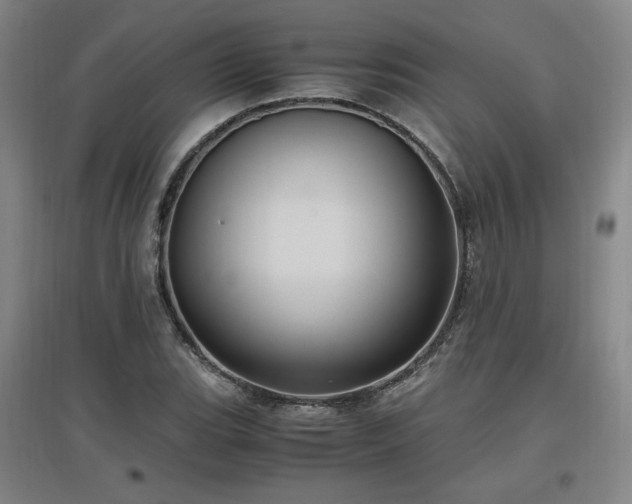X0000097461119200802221206