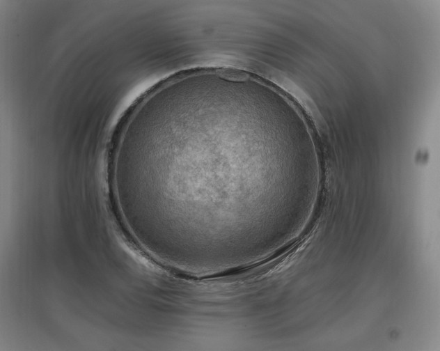 X0000097461120200802221206