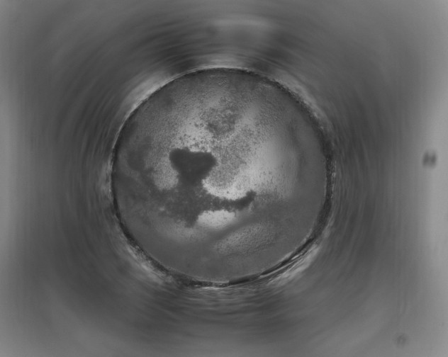 X0000097461121200802221206
