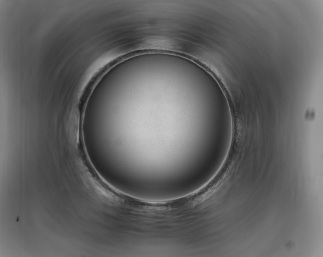 X0000097461123200802221206