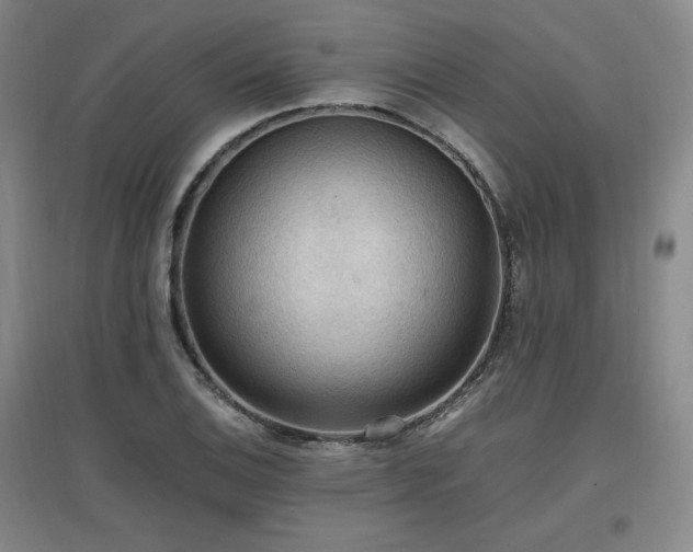 X0000097461124200802221206