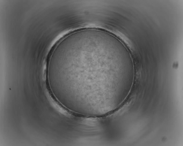 X0000097461126200802221206