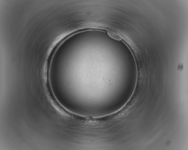 X0000097461128200802221206
