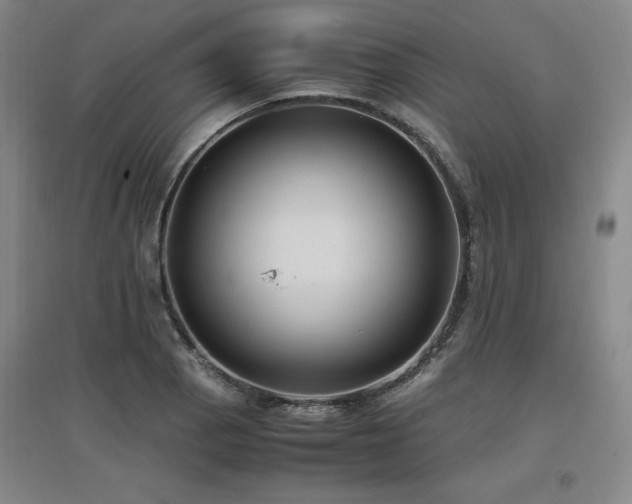 X0000097461129200802221206