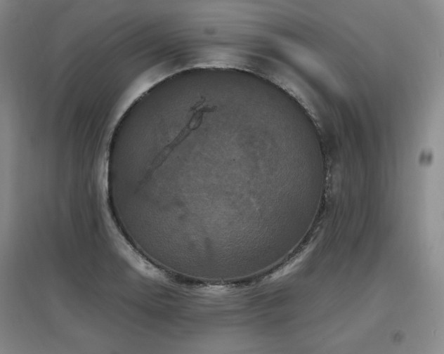 X0000097461130200802221206