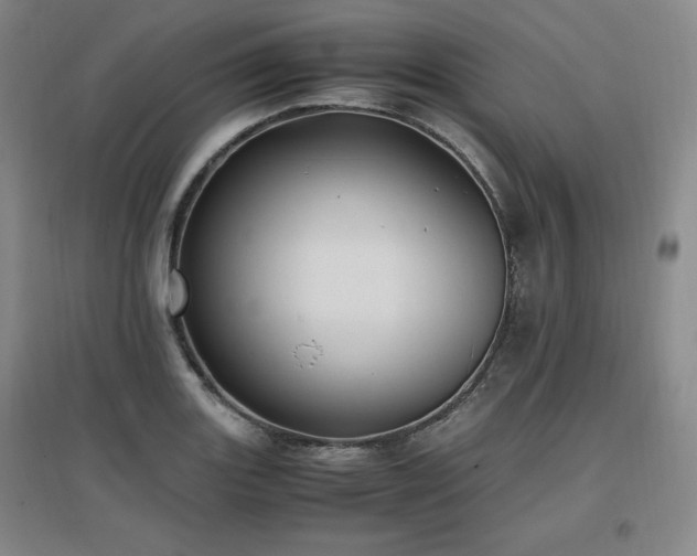 X0000097461131200802221206