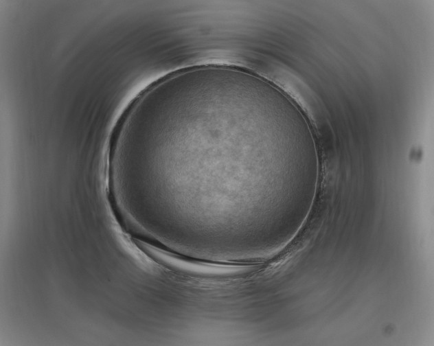 X0000097461132200802221206