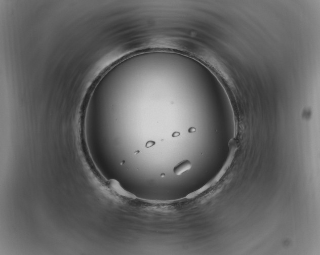 X0000097461133200802221206
