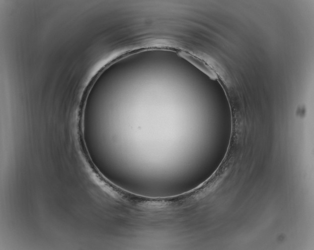 X0000097461134200802221206