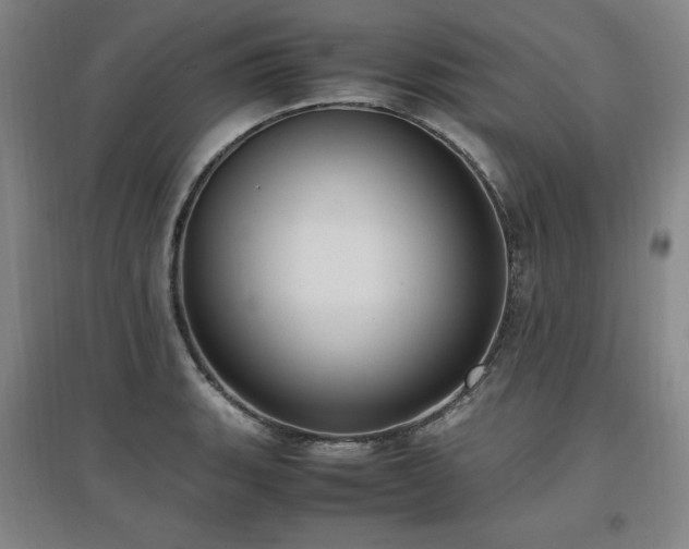 X0000097461135200802221206