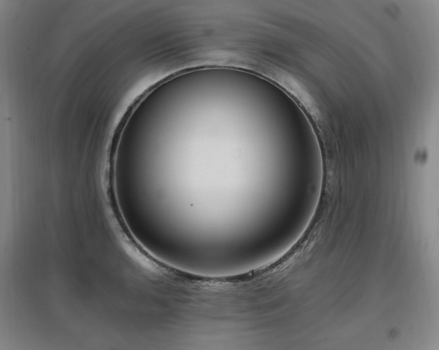 X0000097461136200802221206