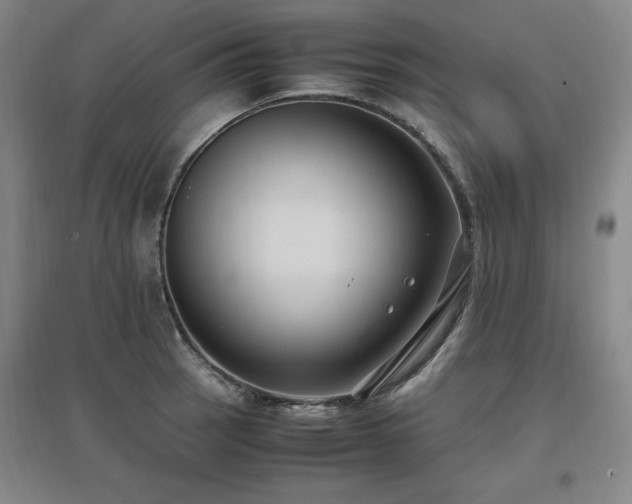 X0000097461137200802221206