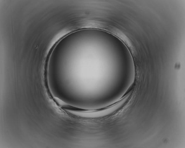 X0000097461138200802221206