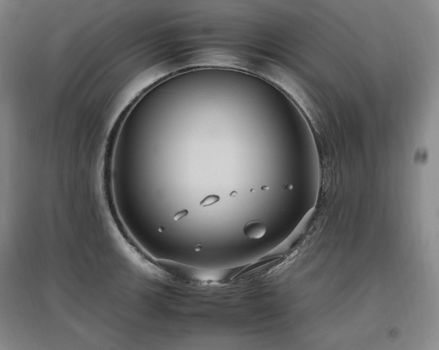 X0000097461139200802221206