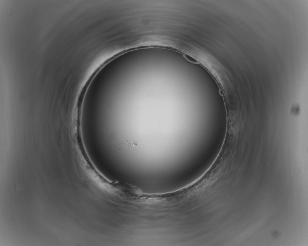 X0000097461140200802221206