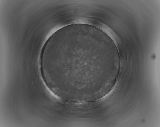 X0000097461141200802221206