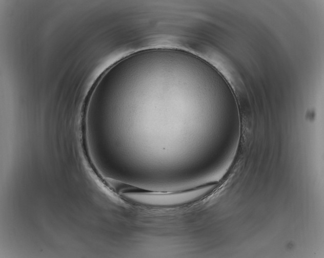 X0000097461142200802221207