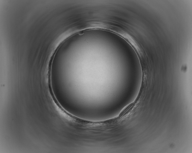 X0000097461143200802221207