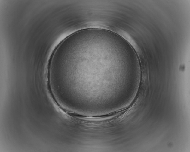 X0000097461144200802221207