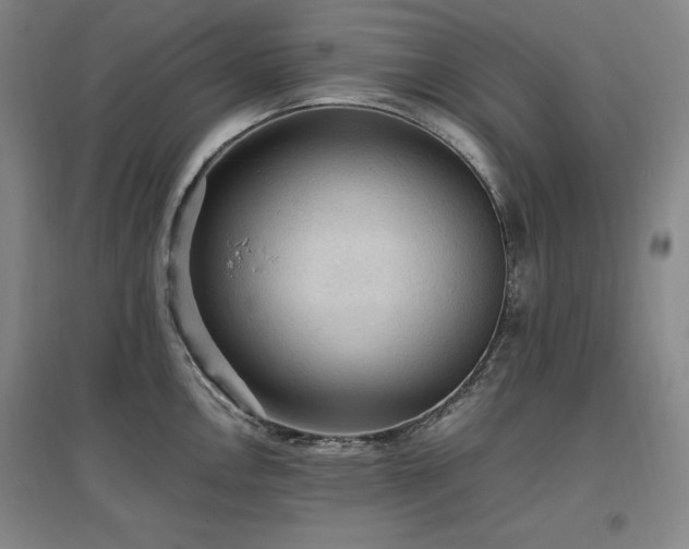 X0000097461146200802221207