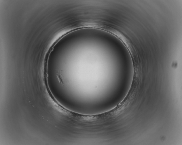X0000097461147200802221207