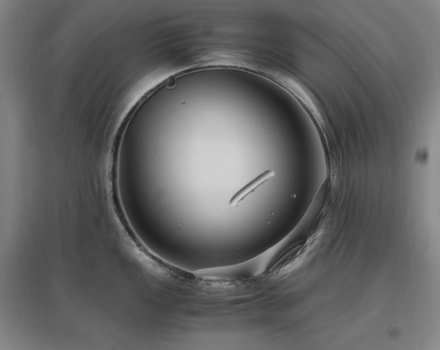 X0000097461149200802221207