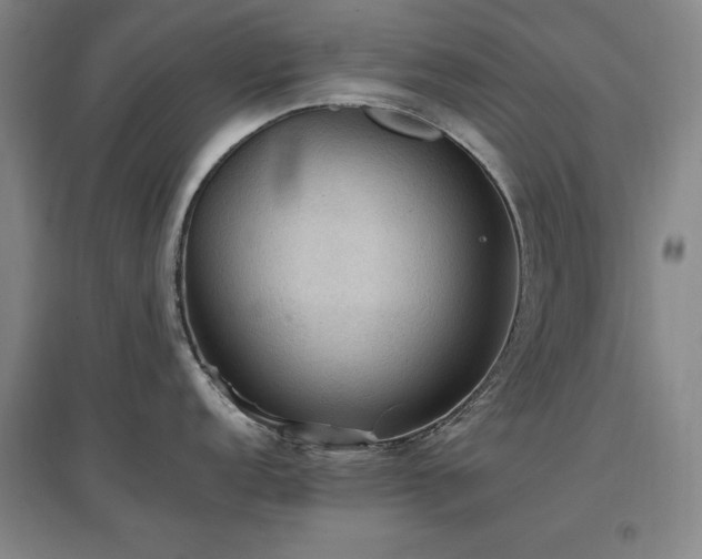 X0000097461152200802221207