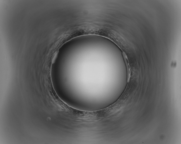 X0000097461153200802221206