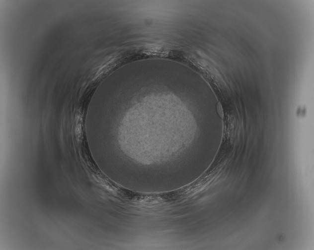 X0000097461154200802221206