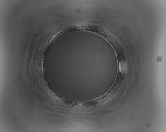 X0000097461155200802221206