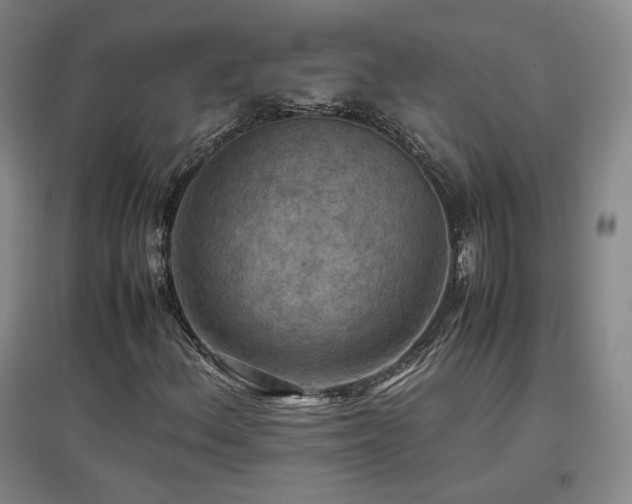 X0000097461156200802221206