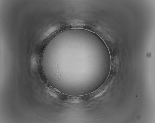 X0000097461157200802221206