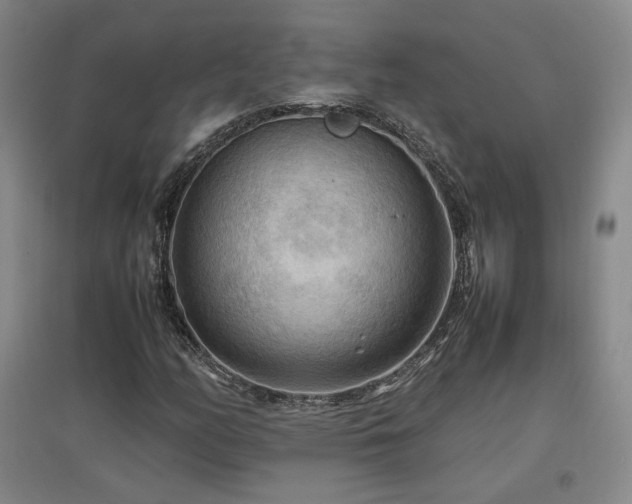 X0000097461158200802221206
