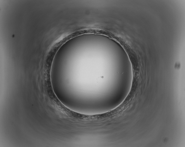 X0000097461159200802221206