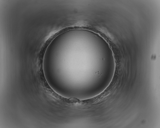 X0000097461160200802221206