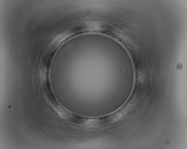X0000097461161200802221206
