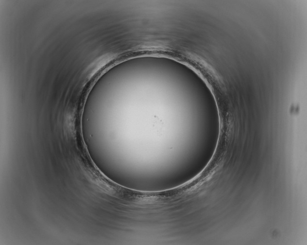 X0000097461162200802221206