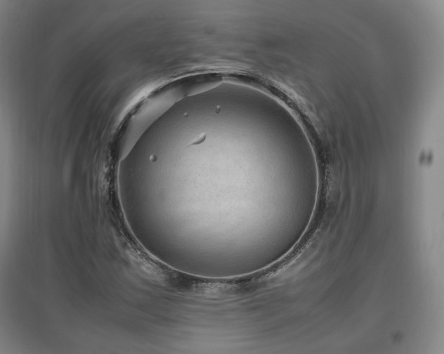 X0000097461163200802221206