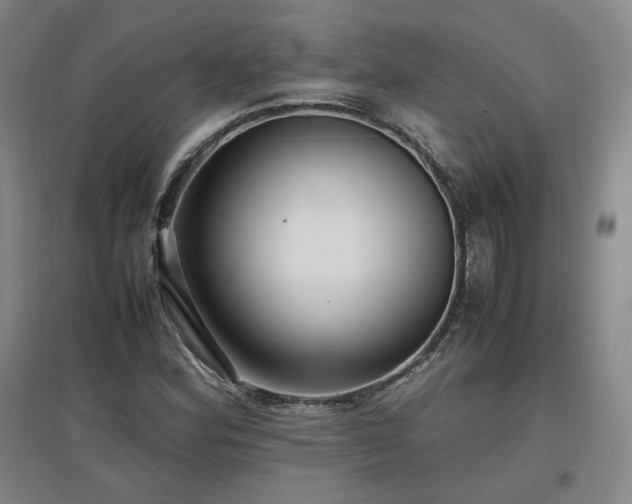 X0000097461164200802221206