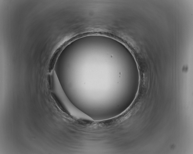 X0000097461165200802221206